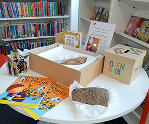 A table set up with a dinosaur story book and two fossils, one of a mammoths tooth and another of an old tree